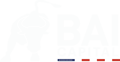 BAI Capital logo white-1