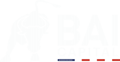 BAI-Capital-logo-white-small-200px